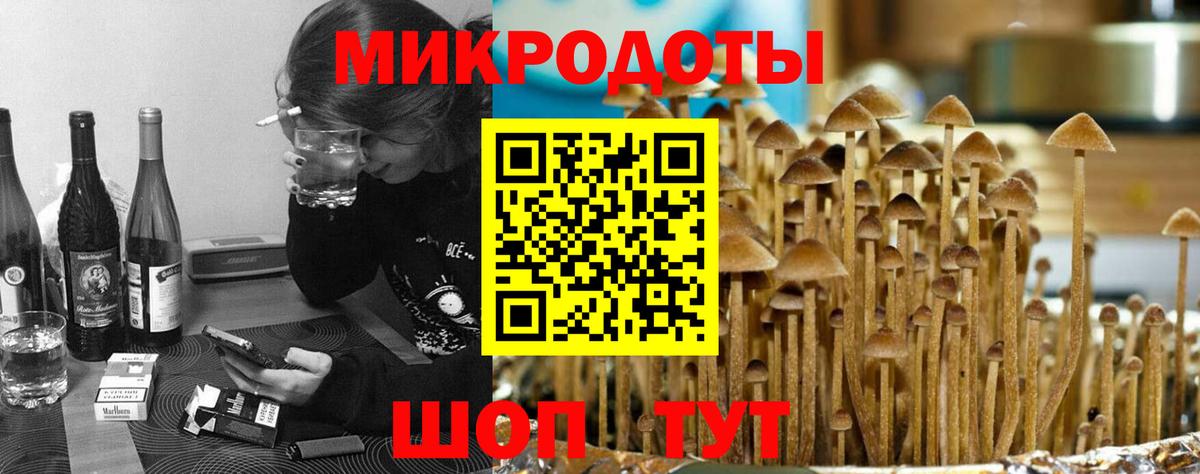 Саранск  Псилоцибиновые грибы ЛСД  Галлюциногенные грибы Cubensis  Вход с VPN 