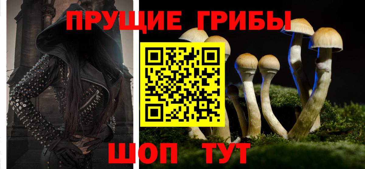 Псилоцибиновые грибы мицелий Саранск